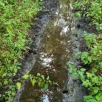 Fot. UM Zielona Góra