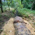 Zapora na Gęśniku Fot. WIOŚ