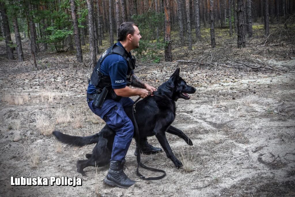 Fot. Lubuska Policja