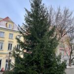 Choinka już na deptaku! Radio Zachód - Lubuskie