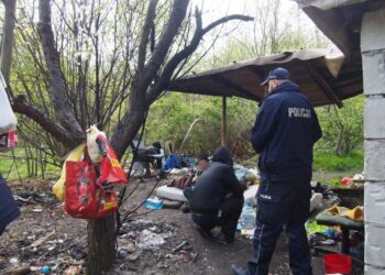 fot: KMP Zielona Góra