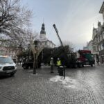 Choinka już na deptaku! Radio Zachód - Lubuskie