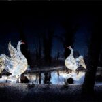 Fot. Urząd Miasta Zielona Góra/FB