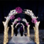 Fot. Urząd Miasta Zielona Góra/FB