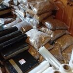 fot. Policja Zielona Góra