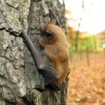 fot. Paweł Mrowiński