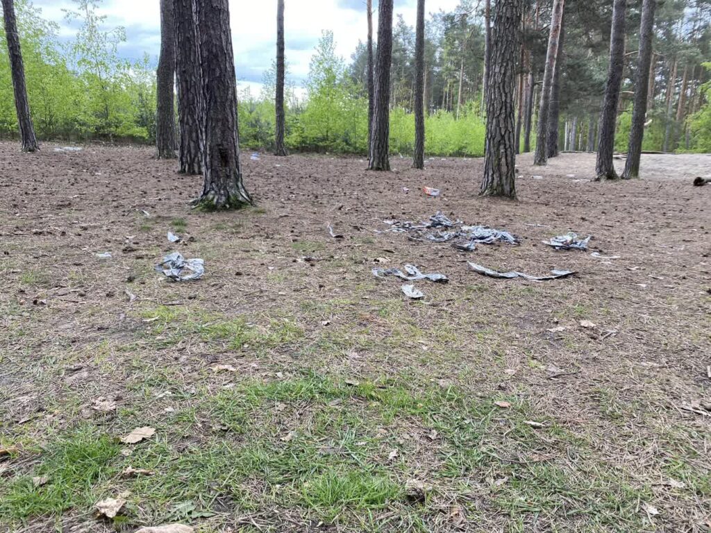 fot: parkrun Zielona Góra