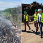 Fot. Kolaż zdjęć Urząd Miasta Zielona Góra/FB