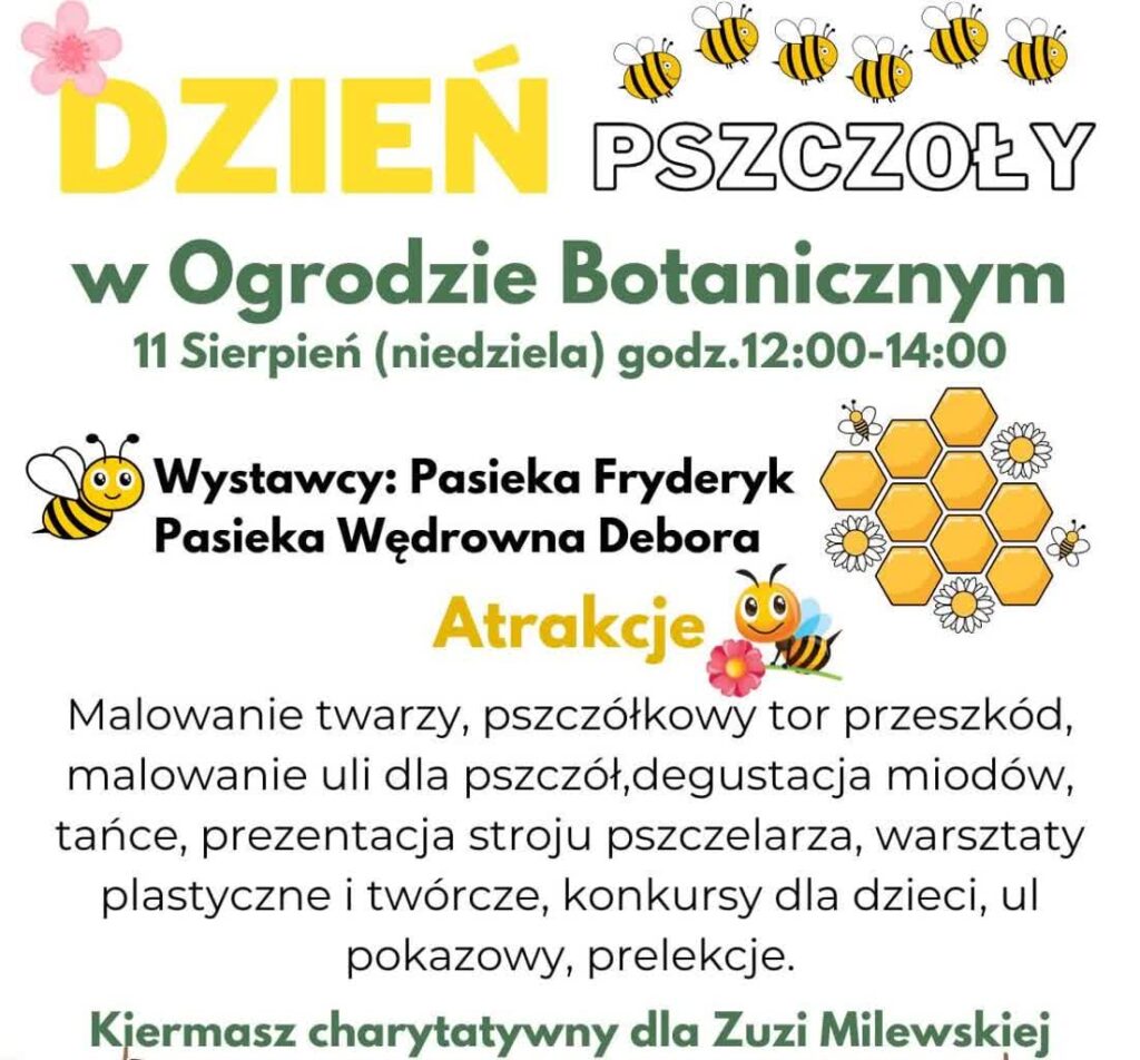 materiały organizatora