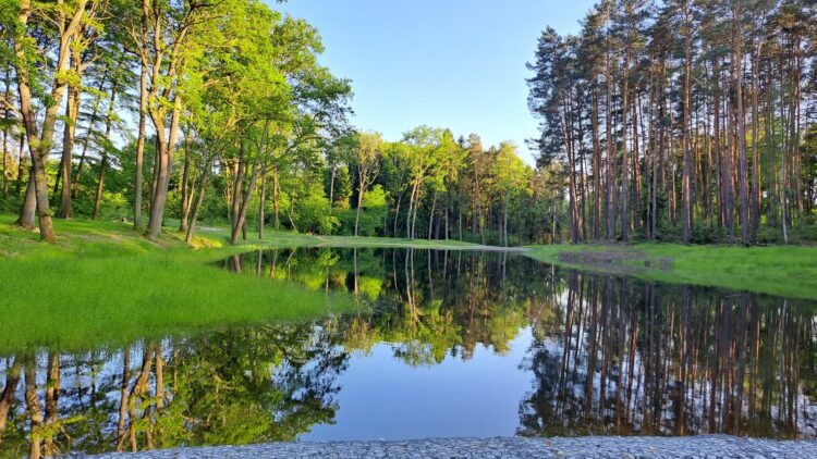 Fot. archiwum Regionalnej Dyrekcji Lasów Państwowych w Zielonej Górze