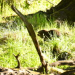 fot: Paweł Mrowiński