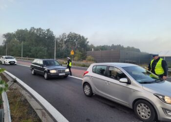 fot. Policja Zielona Góra