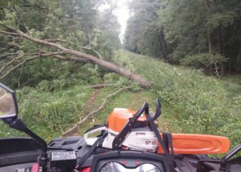 fot: Straż Pożarna Zielona Góra