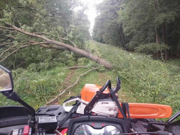 fot: Straż Pożarna Zielona Góra