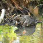 fot: Paweł Mrowiński