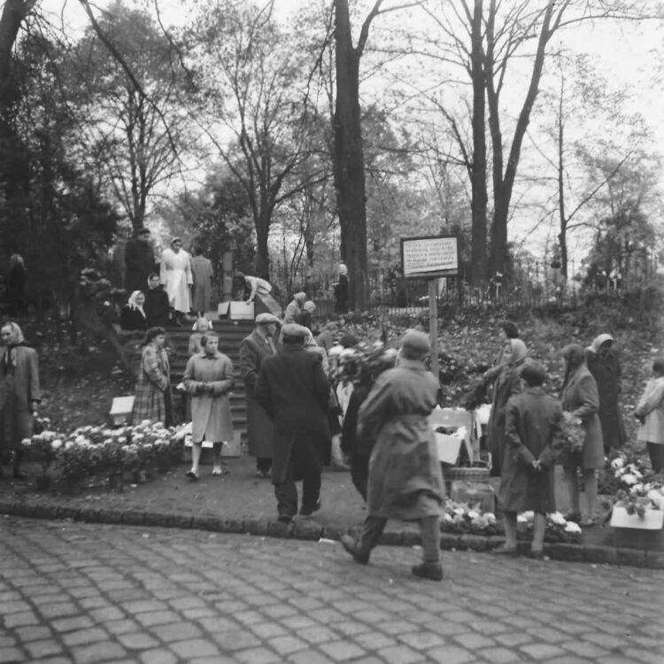 Fot. Bronisław Bugiel. Lata 50. XX wieku, cmentarz w dzisiejszym parku Tysiąclecia.