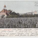 Kapliczka na Winnicy. Widok przedwojenny. Pocztówka ze zbiorów Bartłomieja Gruszki