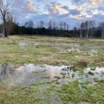 fot. Beata Komorowska-Gabryel