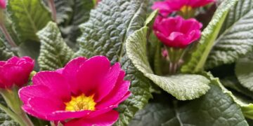 fot. Aurelia Adaszyńska