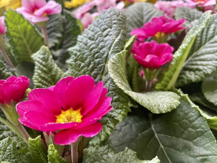 fot. Aurelia Adaszyńska