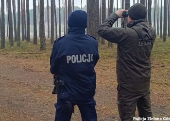 fot: KMP Zielona Góra