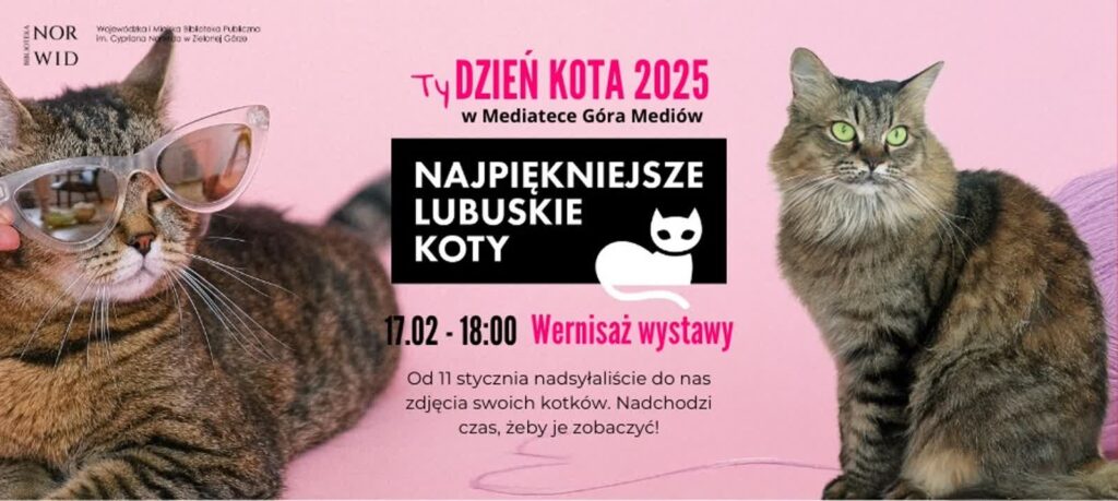 materiały organizatora