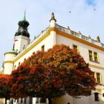 Urząd Gminy w Sulechowie (sulechow.pl)