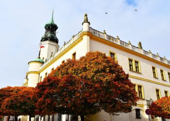 Urząd Gminy w Sulechowie (sulechow.pl)