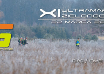 materiały organizatora