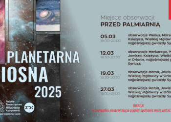 materiały organizatora