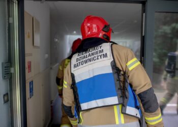 fot. Krzysztof Filmanowicz