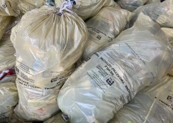 fot. Aurelia Adaszyńska