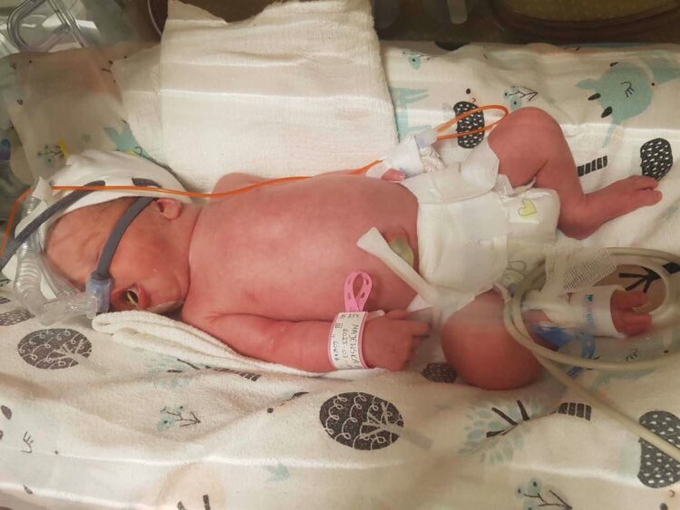 foto: Szpital Uniwersytecki w Zielonej Górze