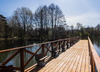 fot: Bartosz Mirosławski - Urząd Miasta Zielona Góra