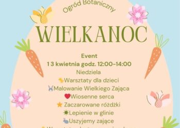 materiał organizatorów