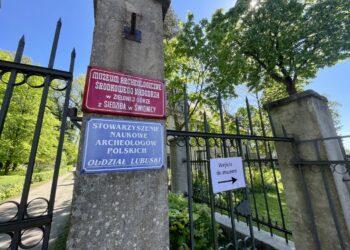 fot. Aurelia Adaszyńska