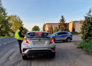 fot. KMP w Zielonej Górze (Facebook)