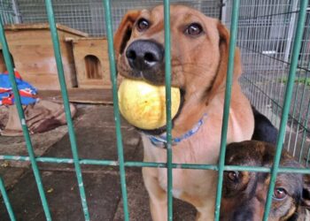 fot. Aurelia Adaszyńska