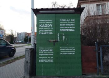 Fot. Przemysław Kozubaj