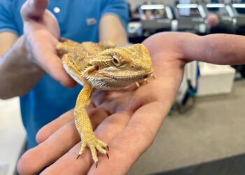 fot. Aurelia Adaszyńska