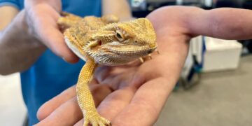 fot. Aurelia Adaszyńska