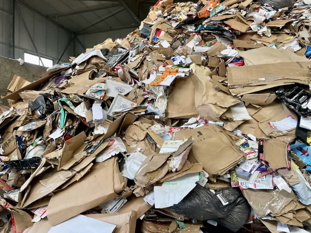 fot. Aurelia Adaszyńska