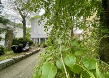 fot. Aurelia Adaszyńska