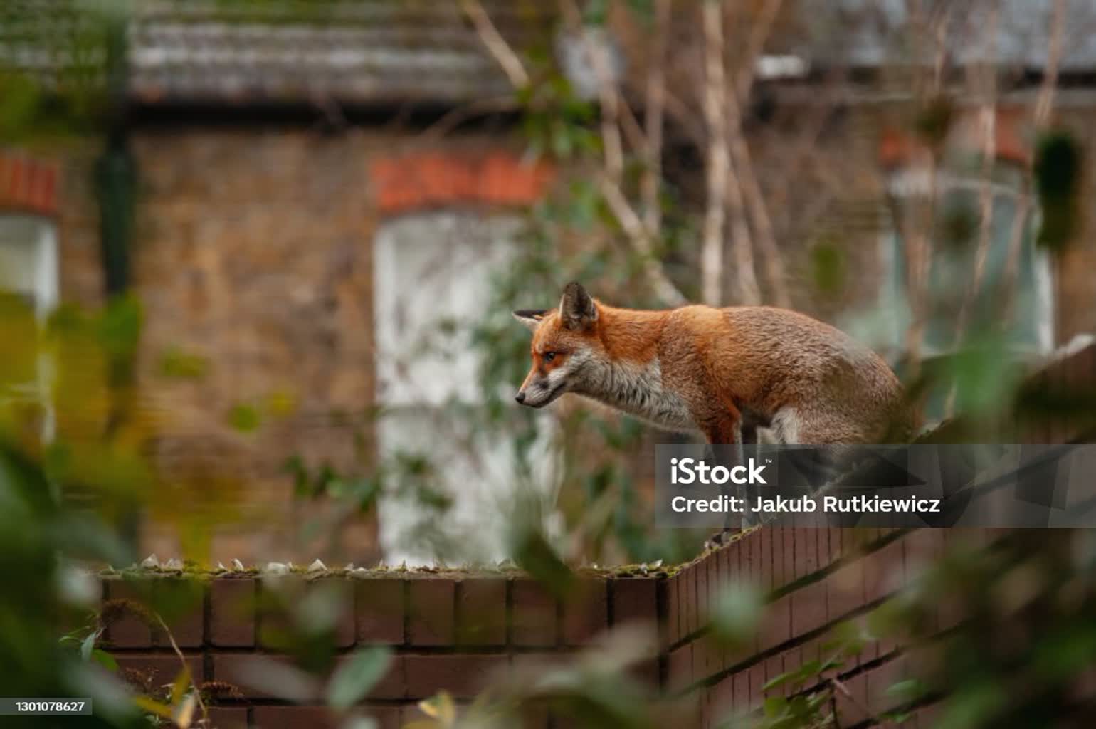 Nauka o krajobrazie w odwrocie