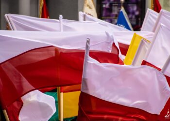 fot. Bartosz Mirosławski, UM Zielona Góra