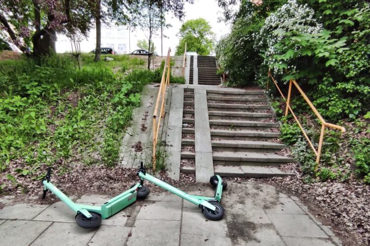 archiwum RZG, fot: M. Poniedziałek