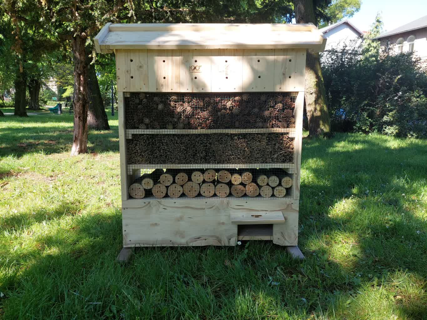 Nowy hotel dla owadów w Zielonej Górze