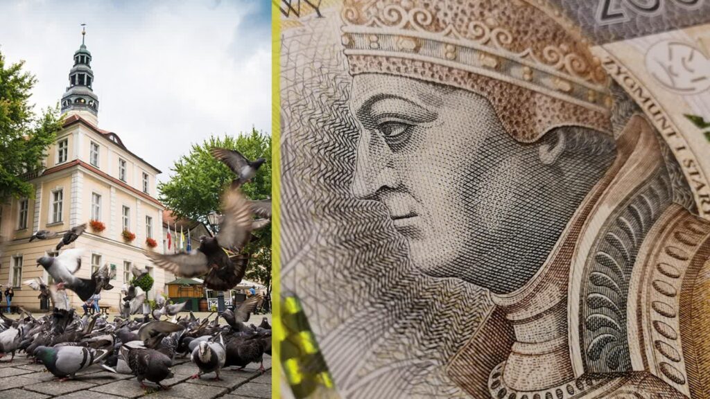 Fot. Urząd Miasta w Zielonej Górze/FB i Pixabay