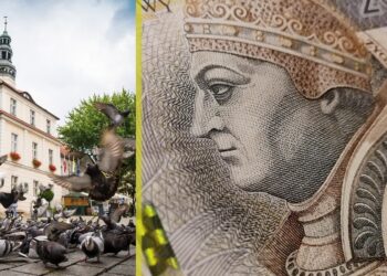 Fot. Urząd Miasta w Zielonej Górze/FB i Pixabay