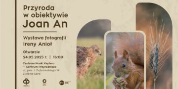 materiały organizatora